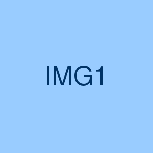 img1